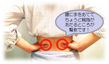 男性不妊に効果的な腎兪の場所